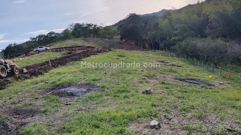 Foto de la propiedad