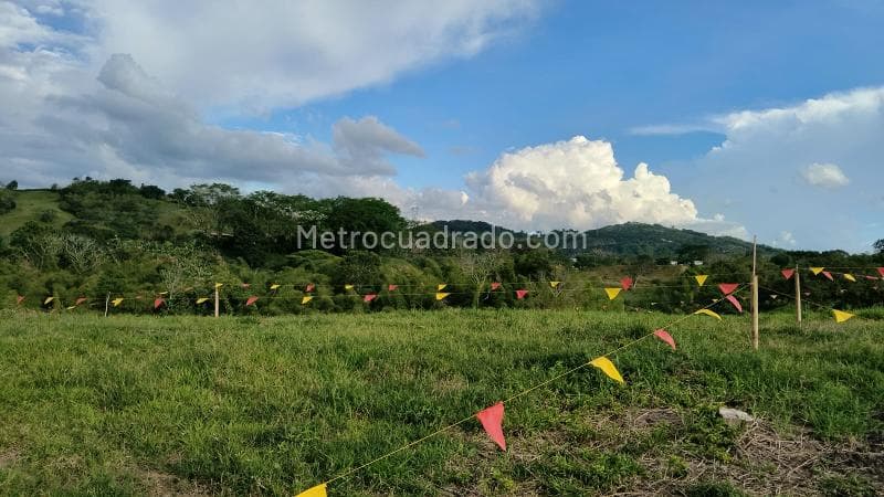 Foto de la propiedad