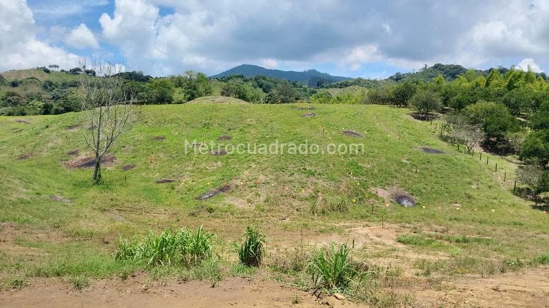 Foto de la propiedad