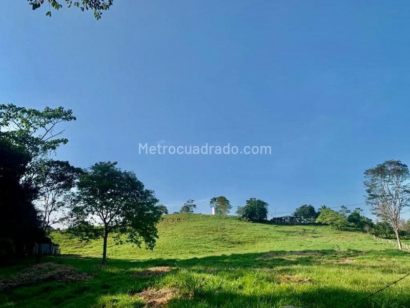 Foto de la propiedad