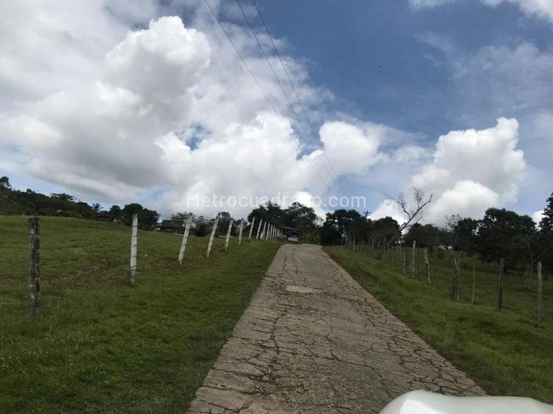 Foto de la propiedad