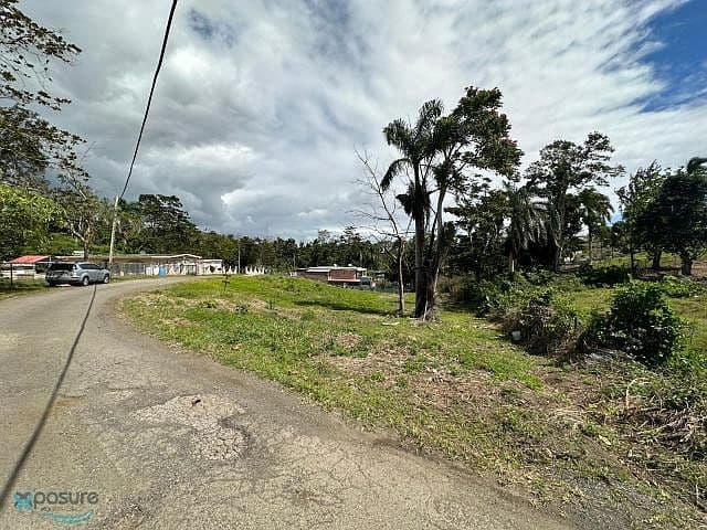 Carretera 446, Robles, San Sebastián, 00685