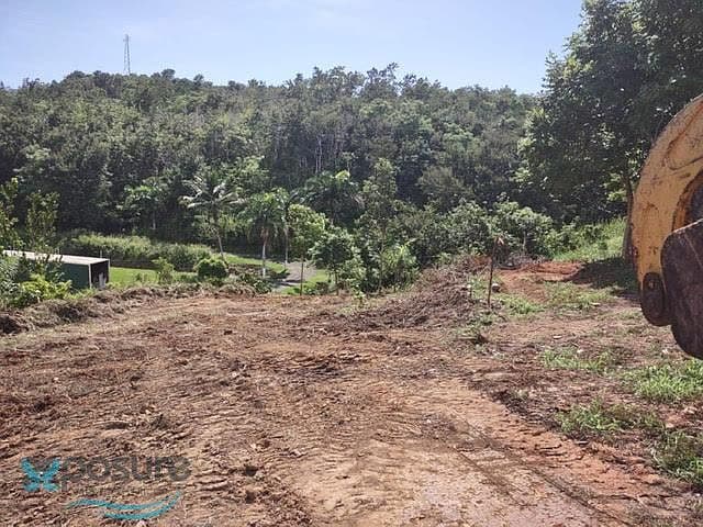 Carretera 414, Guayabo, Aguada, 00602