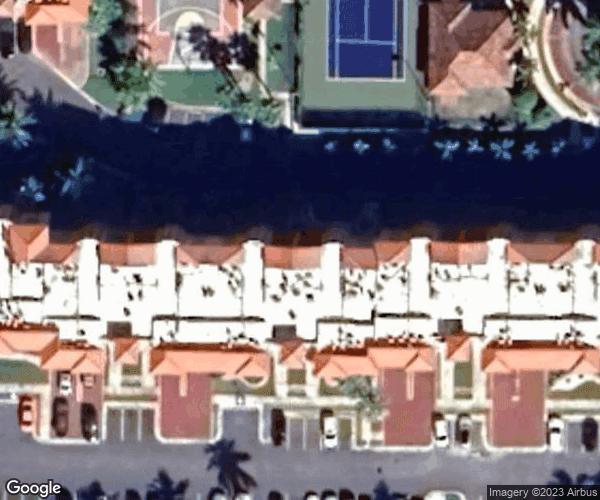 Royal Palm