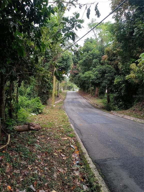 10 Calle 10, Guzmán Arriba, Río Grande, 00745