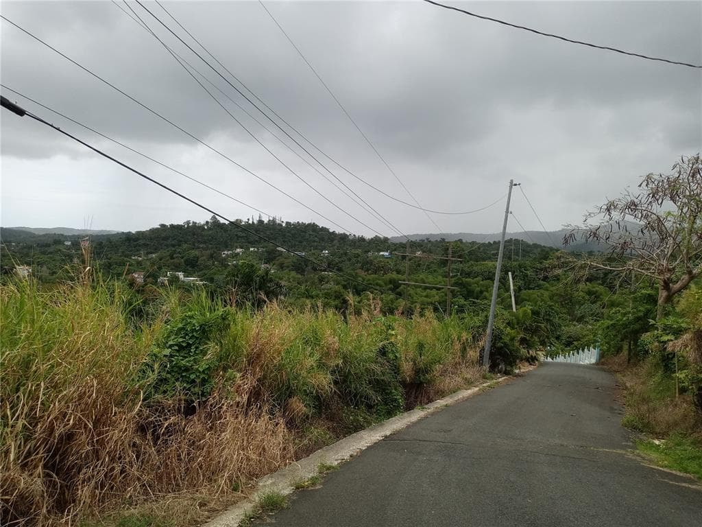 10 Calle 10, Guzmán Arriba, Río Grande, 00745