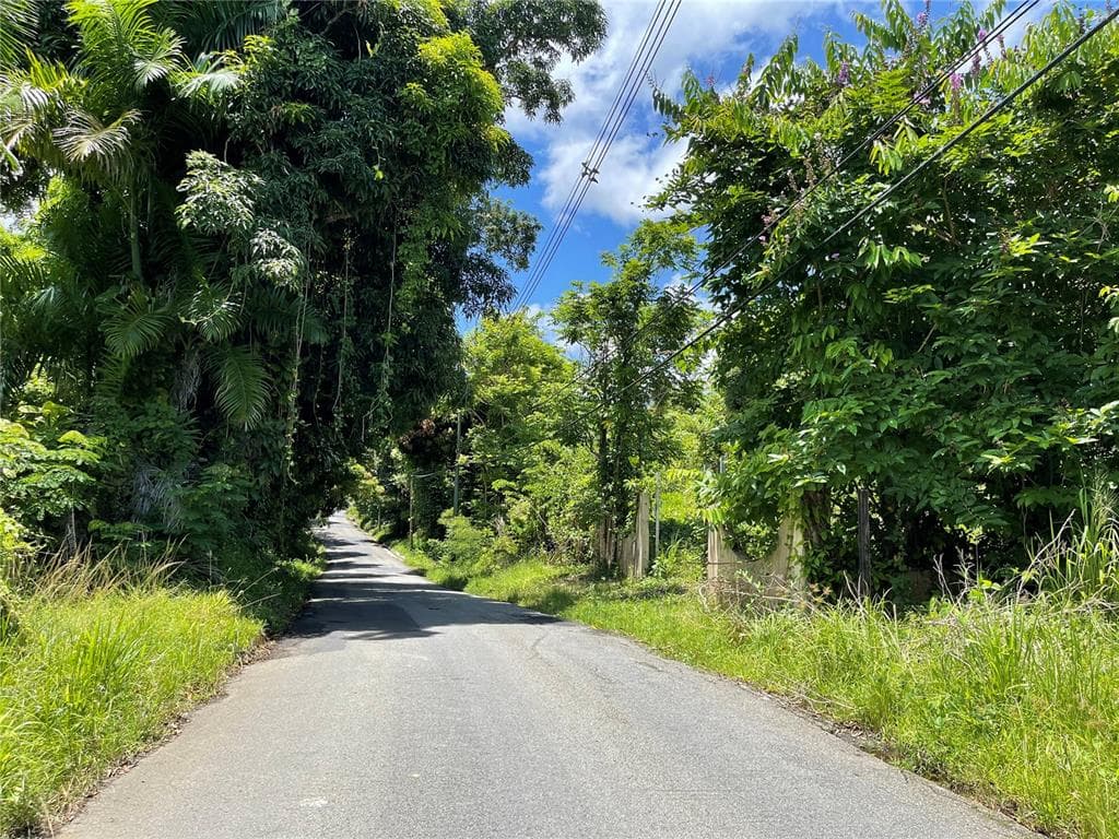 10 Calle 10, Guzmán Arriba, Río Grande, 00745