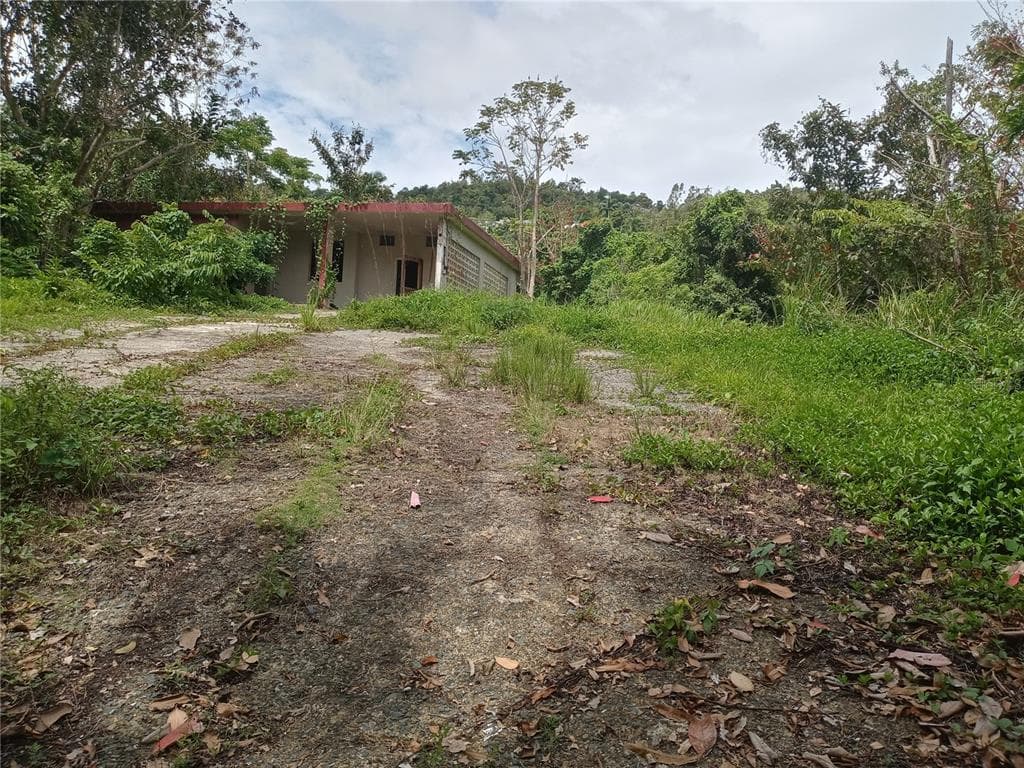10 Calle 10, Guzmán Arriba, Río Grande, 00745