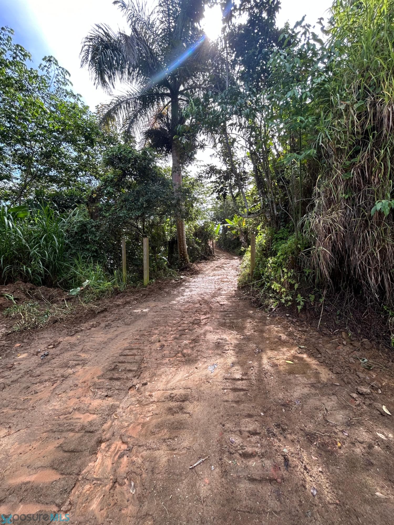 LIVE AN EXPERIENCE IN THE COUNTRYSIDE