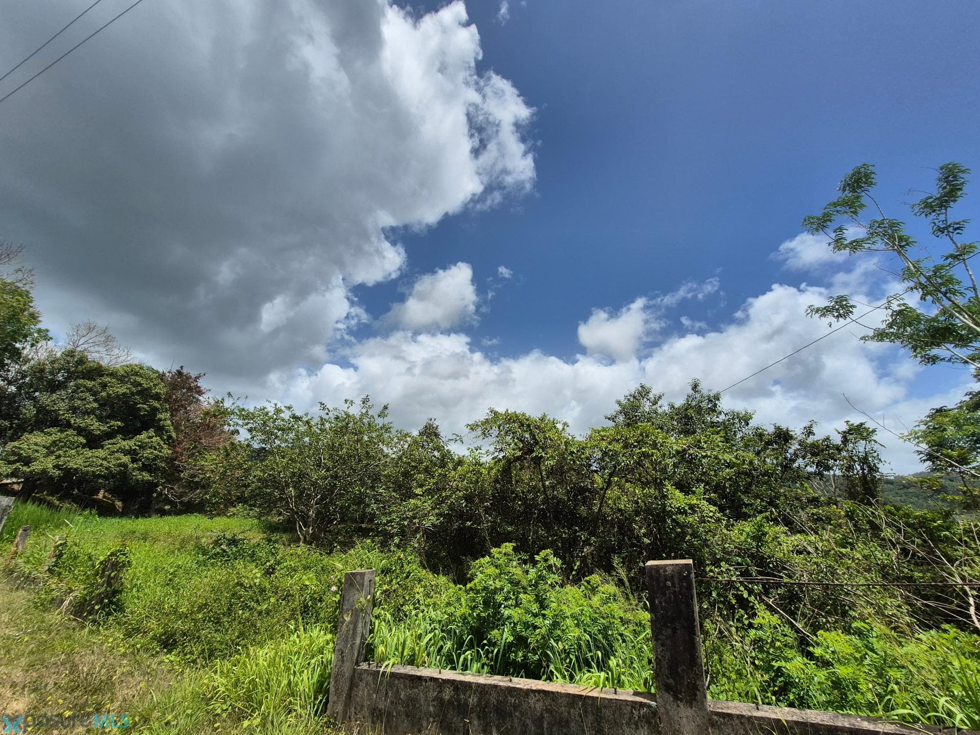 794 CARRETERA ESTATAL 794, SECTOR LA VEGA, BO. SUMIDERO, Las Cuevas (Barrio), Aguas Buenas, Puerto Rico 00703
