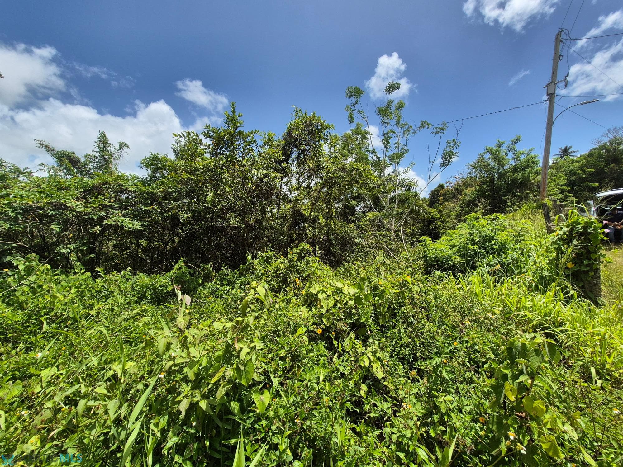 794 CARRETERA ESTATAL 794, SECTOR LA VEGA, BO. SUMIDERO, Las Cuevas (Barrio), Aguas Buenas, Puerto Rico 00703