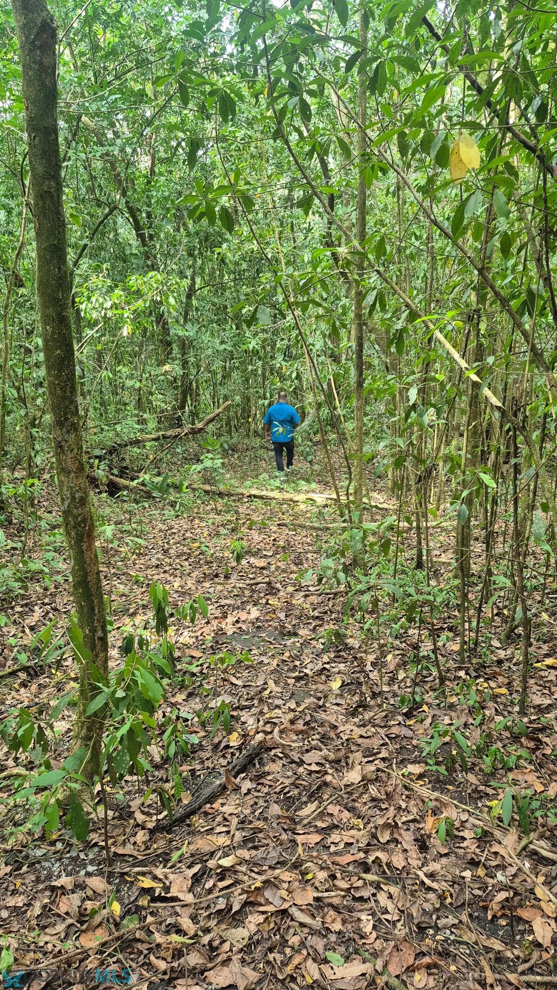 794 CARRETERA ESTATAL 794, SECTOR LA VEGA, BO. SUMIDERO, Las Cuevas (Barrio), Aguas Buenas, Puerto Rico 00703