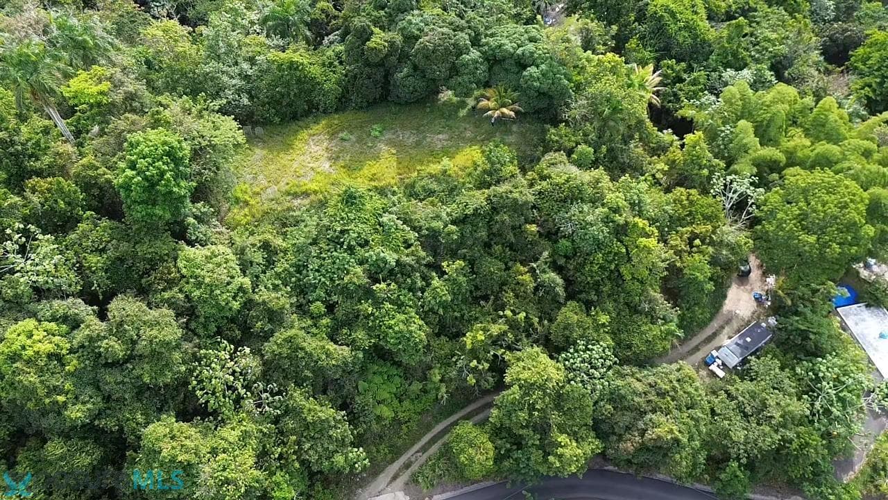 Km Hm 1.6 CARR 777, Caguitas (Barrio), Aguas Buenas, Puerto Rico 00727