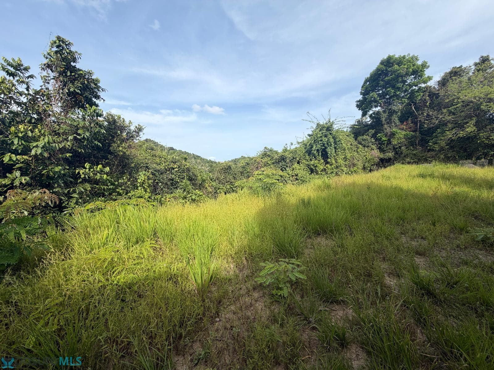 Km Hm 1.6 CARR 777, Caguitas (Barrio), Aguas Buenas, Puerto Rico 00727