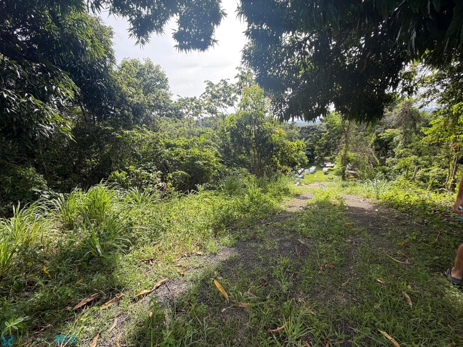 Km Hm 1.6 CARR 777, Caguitas (Barrio), Aguas Buenas, Puerto Rico 00727