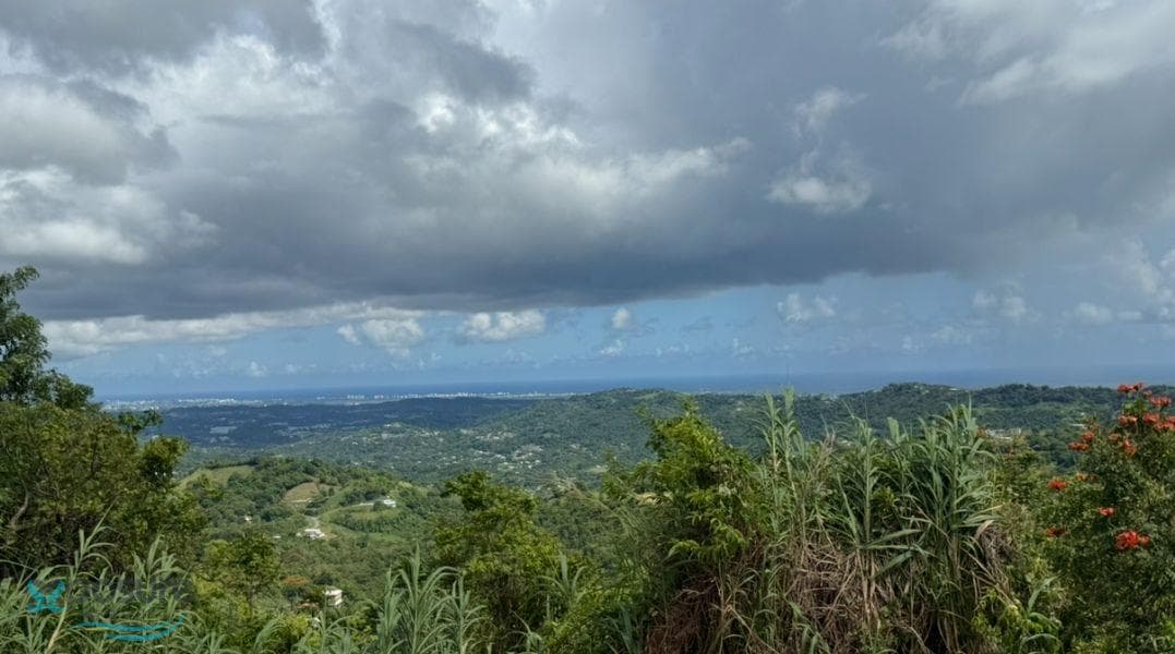 Carretera 945 Km 3.0, Masa, Gurabo, 00778