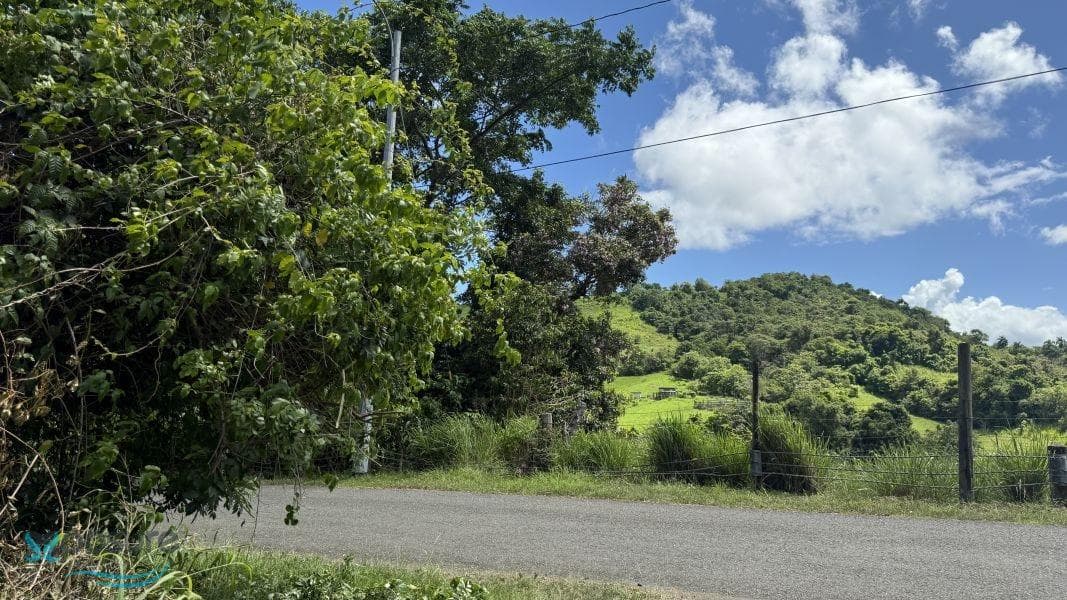 Carretera 945 Km 3.0, Masa, Gurabo, 00778