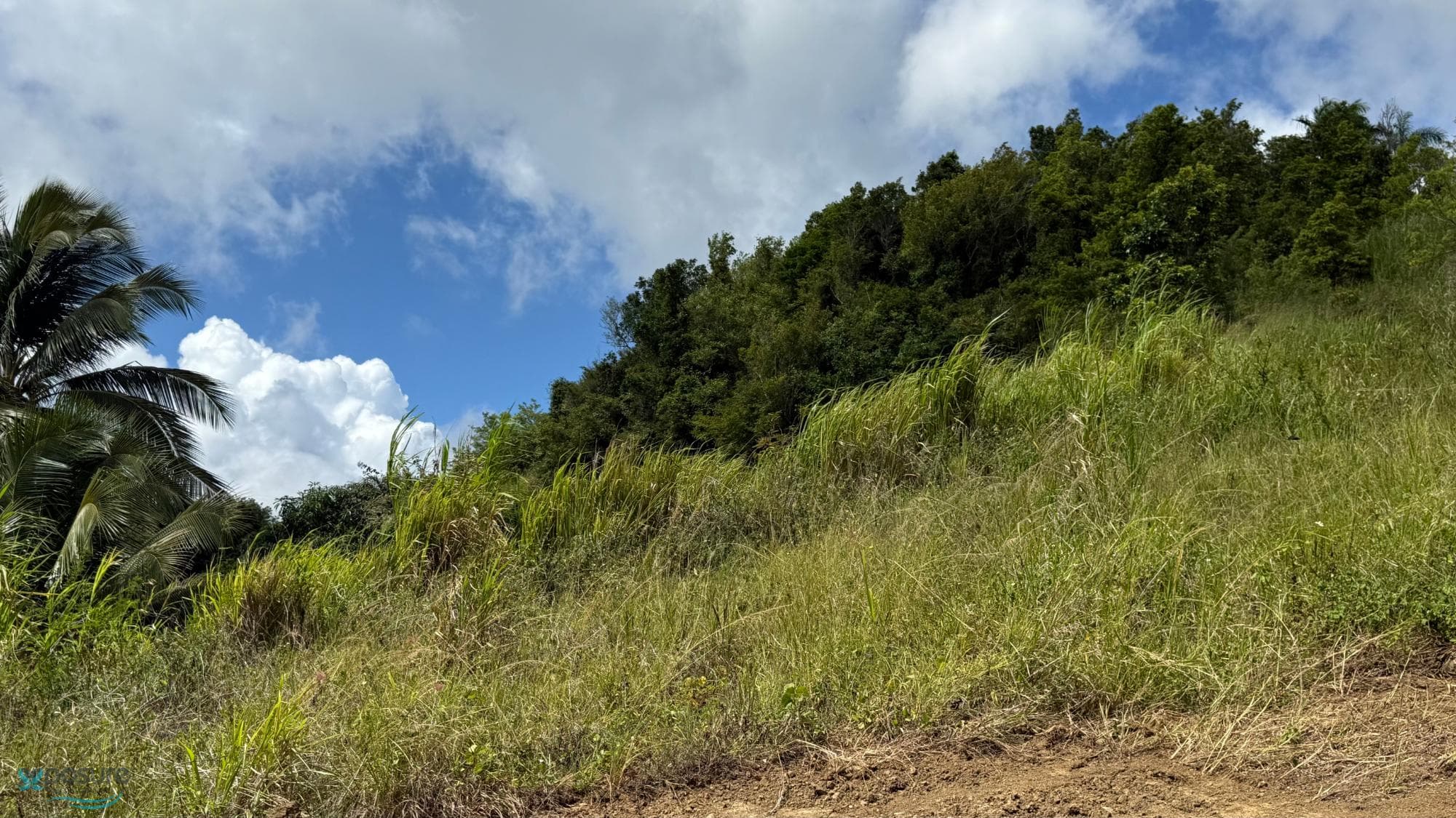 Carretera 945 Km 3.0, Masa, Gurabo, 00778