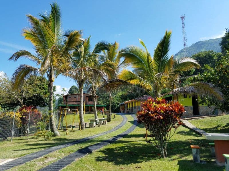 Lote 3 23 51 Manz 3