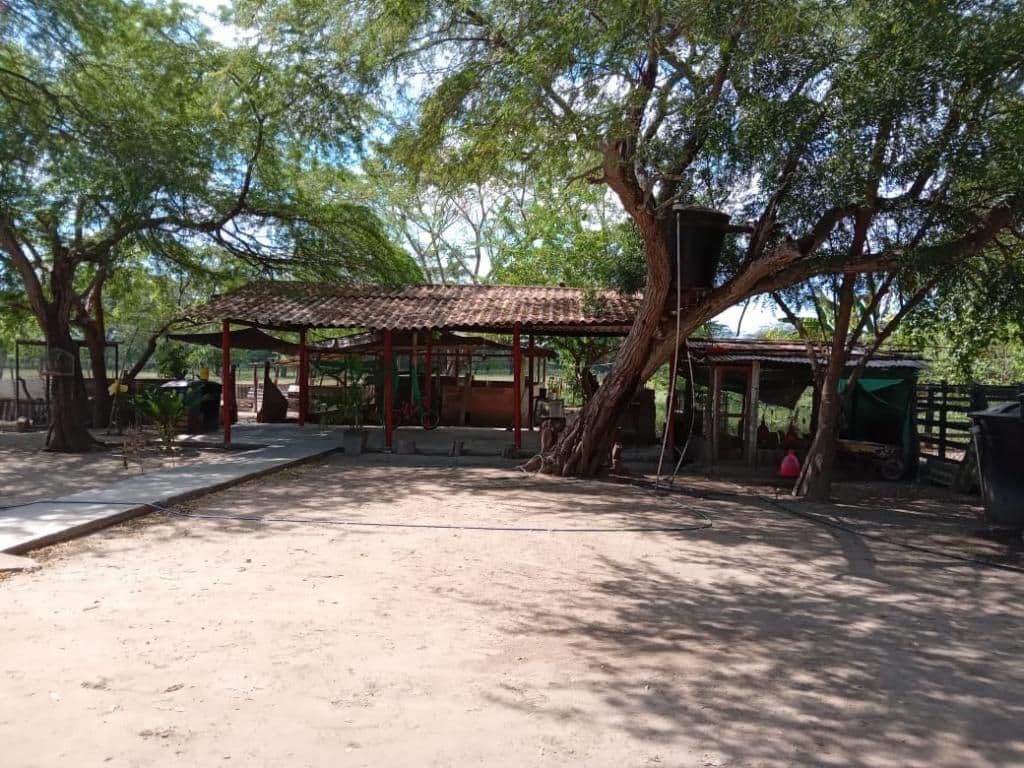 Campo de la Cruz sobre la Avenida Oriental