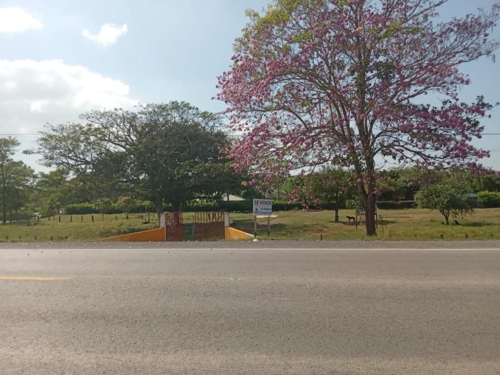 Campo de la Cruz sobre la Avenida Oriental