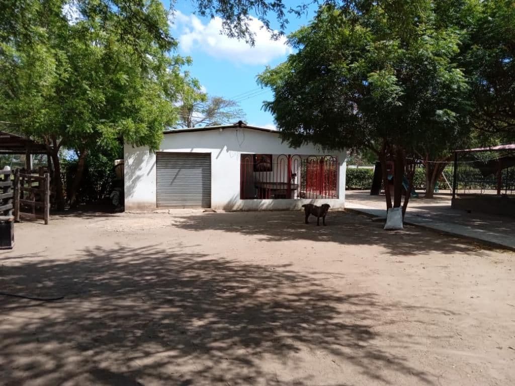 Campo de la Cruz sobre la Avenida Oriental