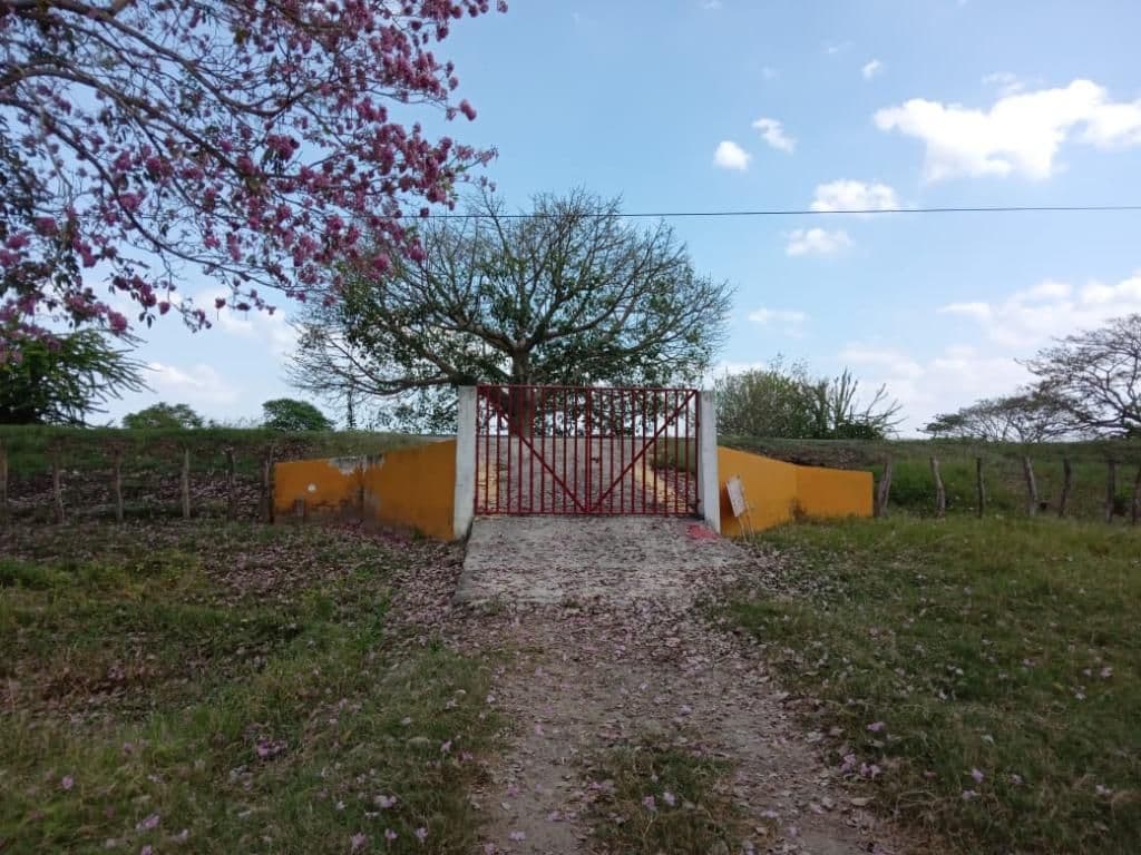 Campo de la Cruz sobre la Avenida Oriental