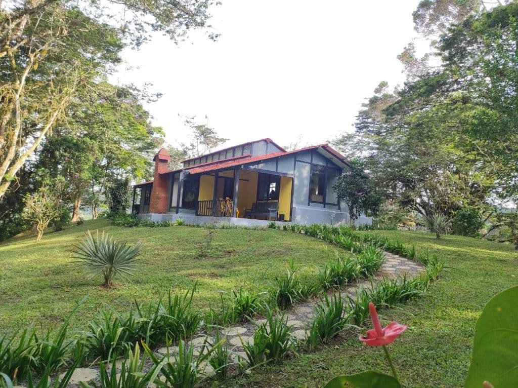Dapa