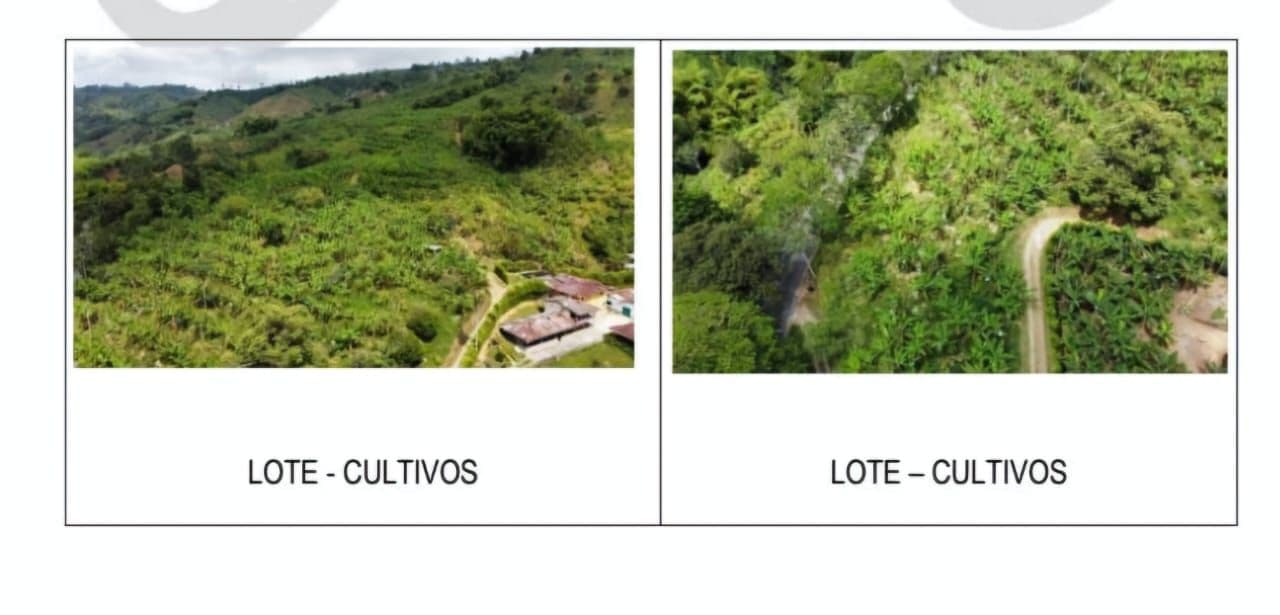 Sevilla, Valle Del Cauca, Colombia