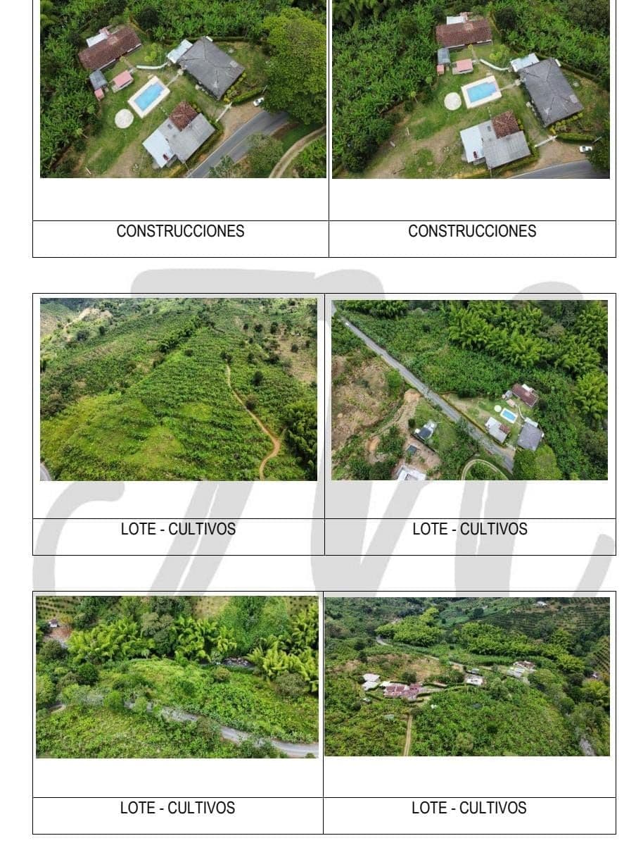 Sevilla, Valle Del Cauca, Colombia