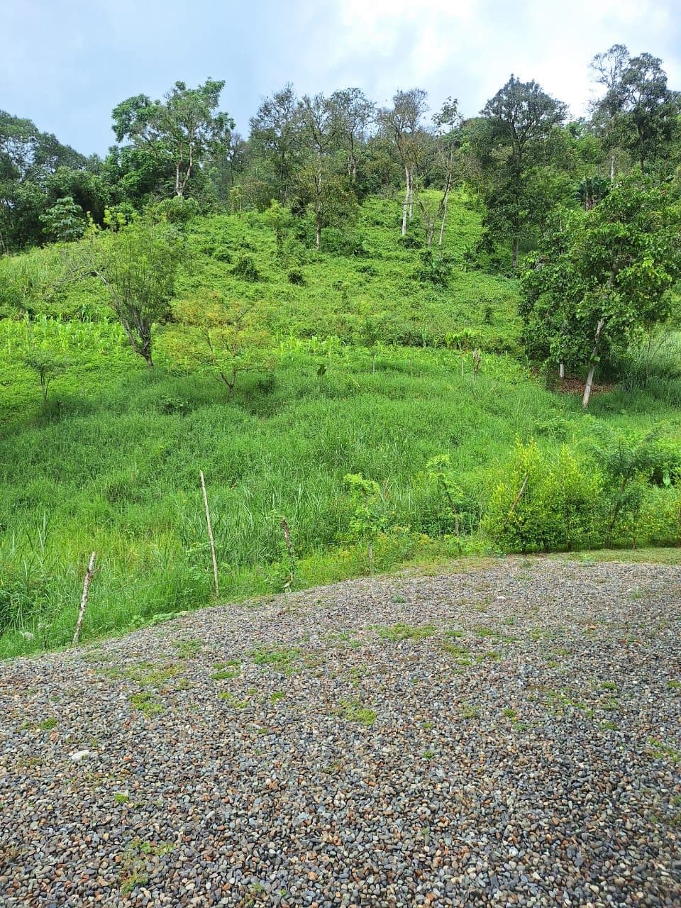 Farallones, Cd Bolívar, Antioquia, Colombia
