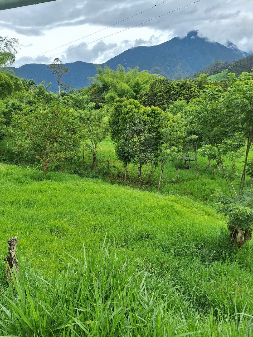 Farallones, Cd Bolívar, Antioquia, Colombia