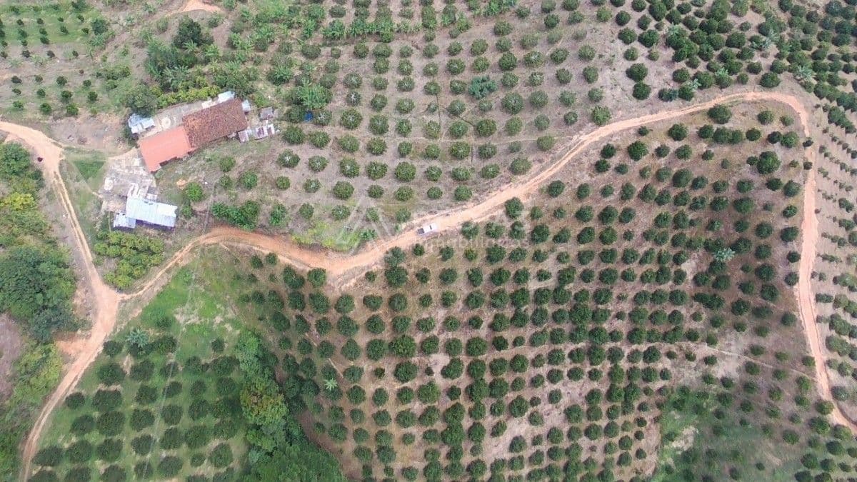 Finca Balboa - Vereda Tambores