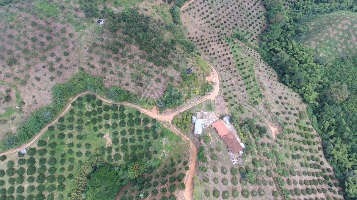 Finca Balboa - Vereda Tambores