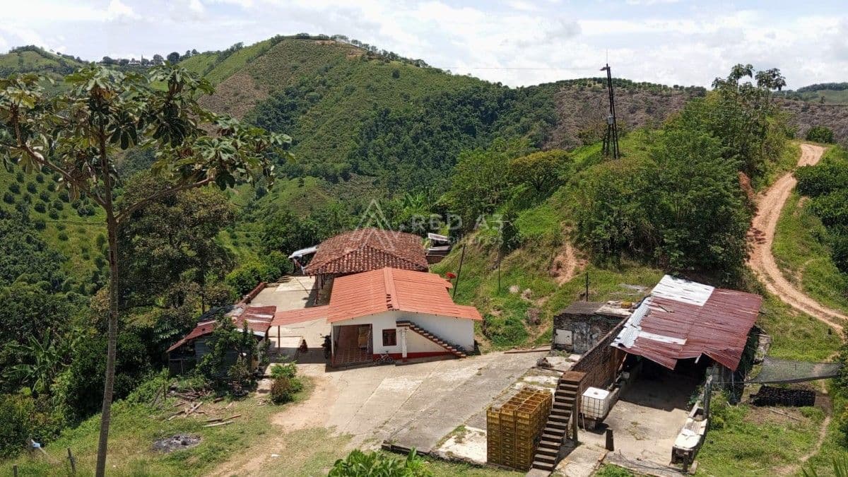 Finca Balboa - Vereda Tambores