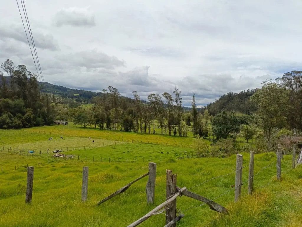 Chiquinquira