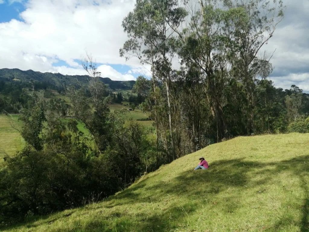 Chiquinquira