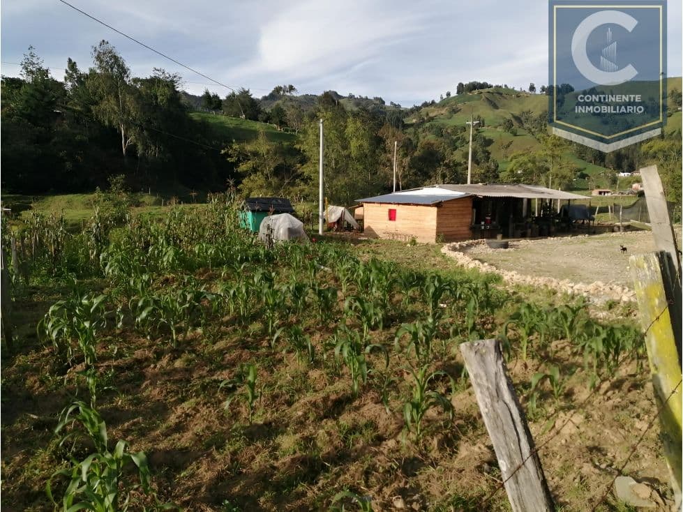 Vereda Zancudito, Belmira