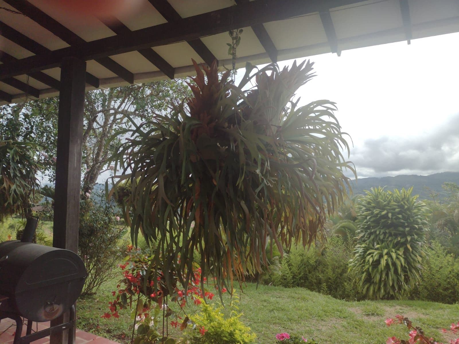 Vía a el Carmen, Dagua, Valle Del Cauca, Colombia