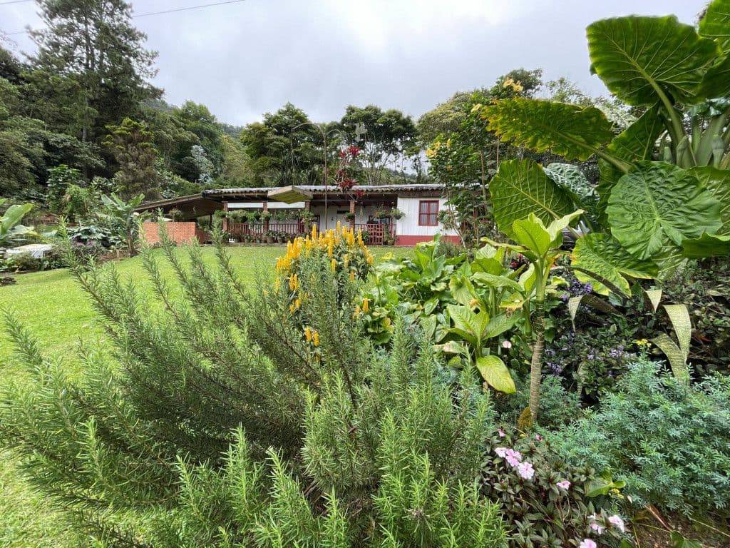 Dapa Hacienda los Morales