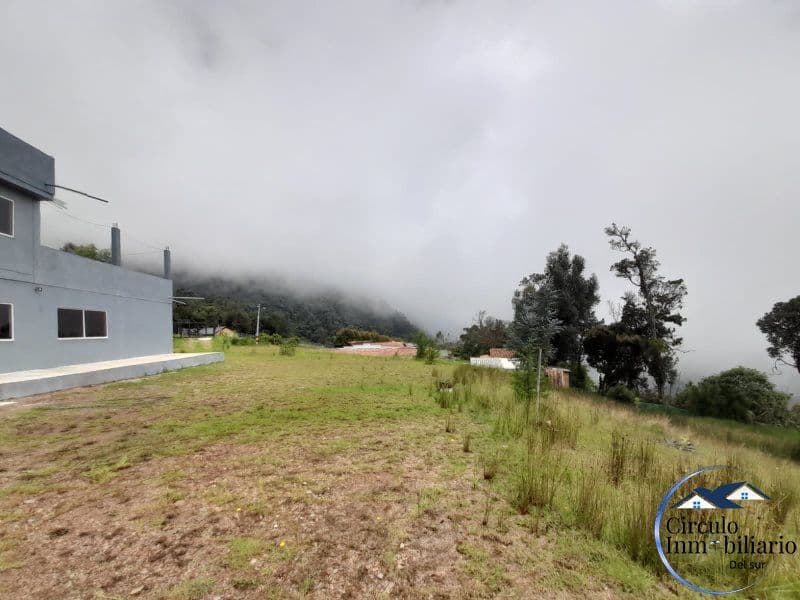 Lote 3