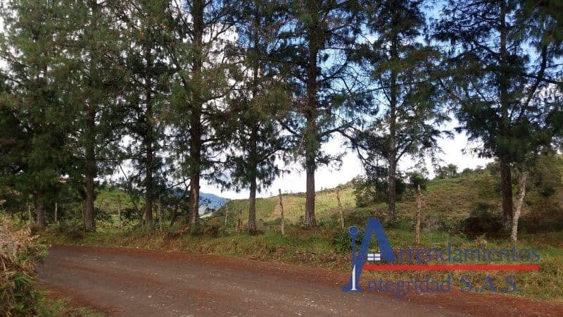 Vereda Arango - Paraje Minitas