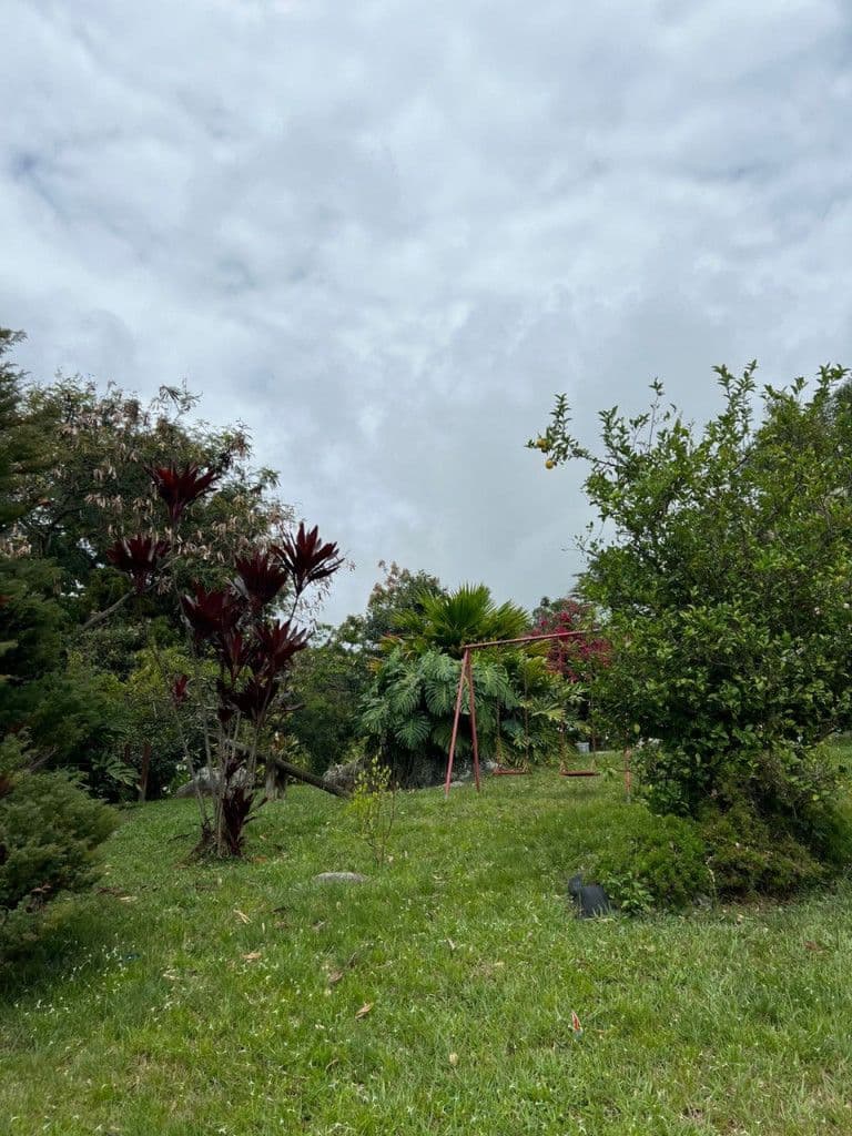 Dapa Corregimiento Paraje de Miravalle, Yumbo, Calle de las Flechas