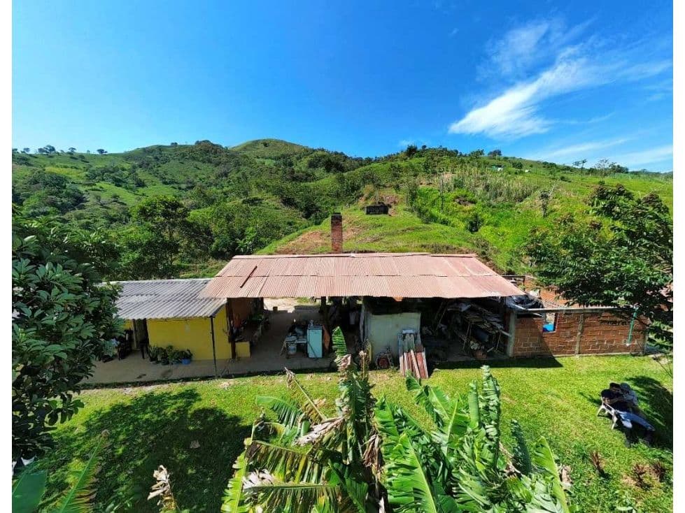 Vereda el Dos 2 Cisneros Antioquia