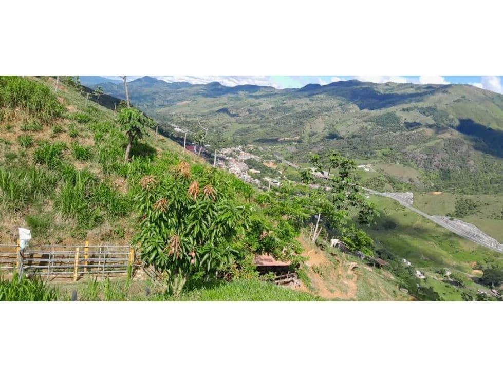 Vereda el Dos 2 Cisneros Antioquia