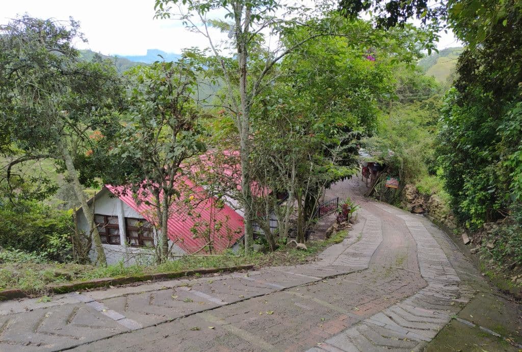 Vereda Mercadillo Ii