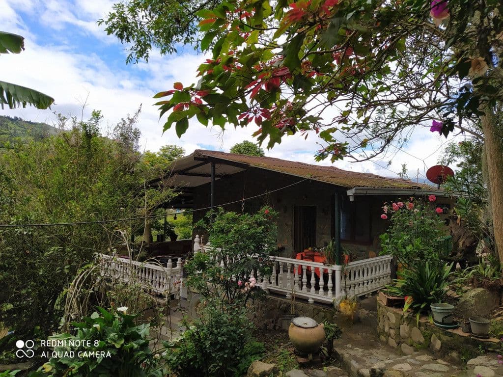 Vereda Mercadillo Ii