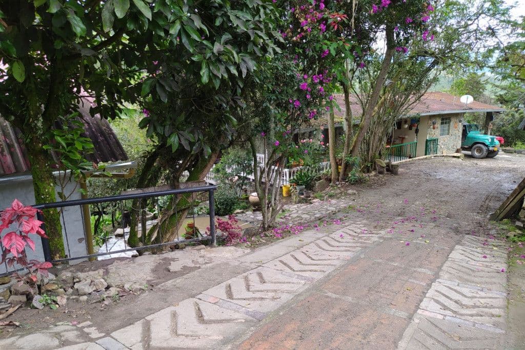 Vereda Mercadillo Ii