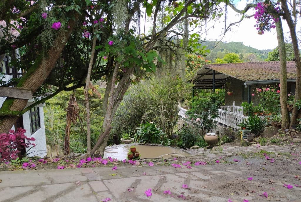 Vereda Mercadillo Ii