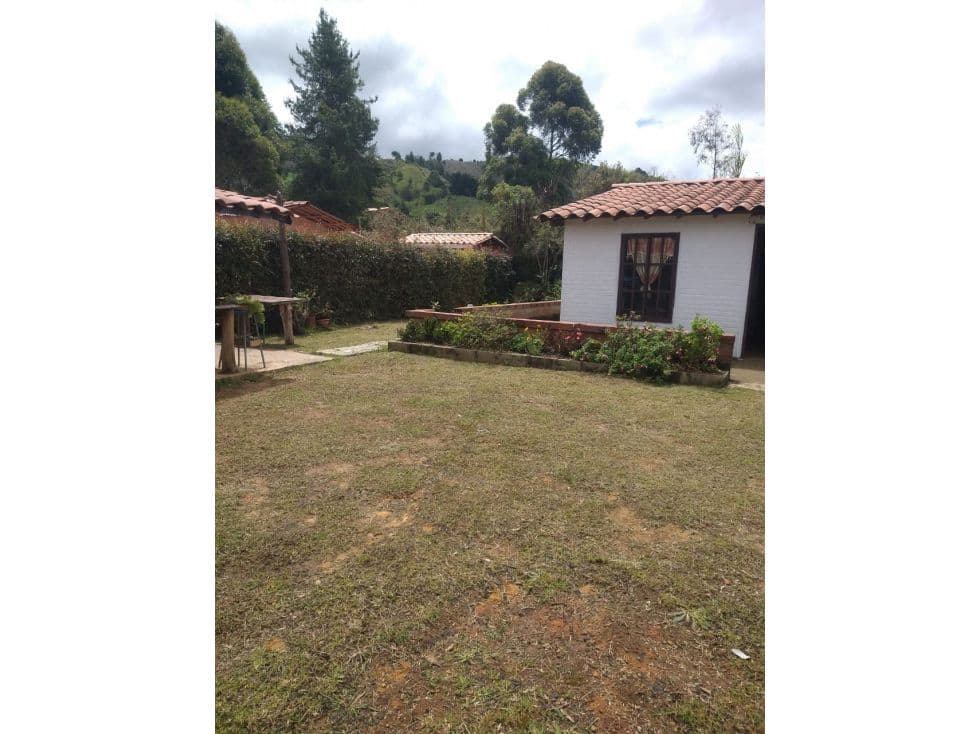 Belmira